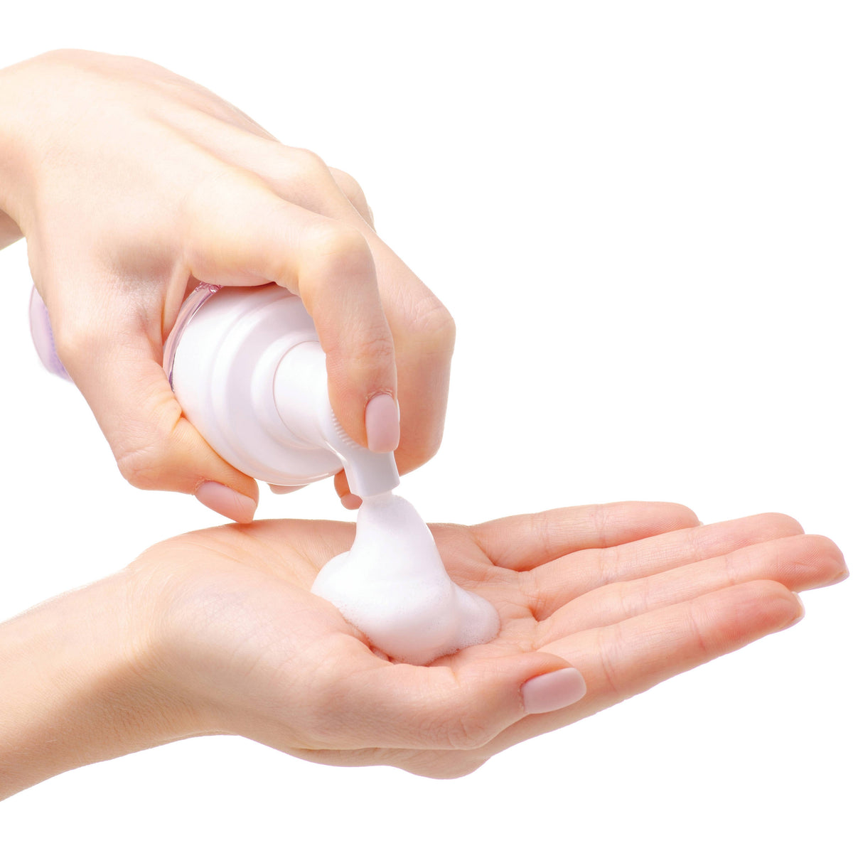 Waterless foaming cat shampoo dispensing rich cleansing foam from pump bottle