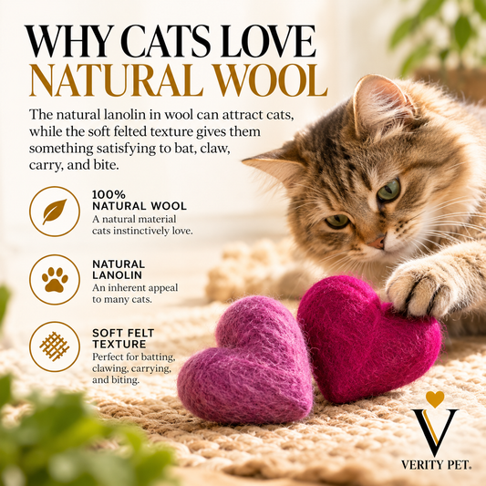 Cat with two wool felt heart cat toys alongside information about natural wool, lanolin, and soft felt texture