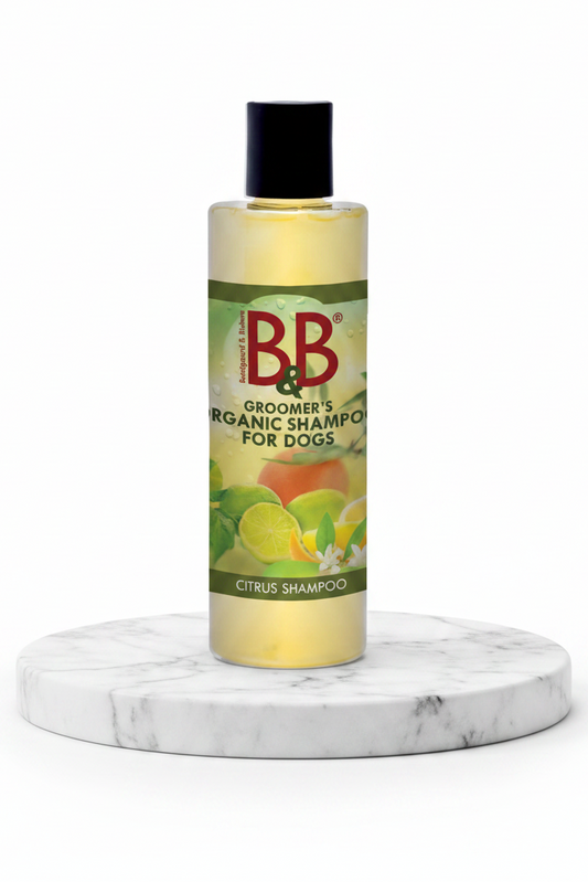 B&B Organic Citrus Shampoo for Dogs bottle shown on a clean white background