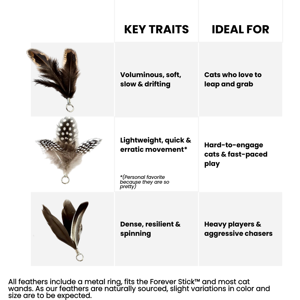 Repounce natural feather toy attachment set showing key traits and different textures and flight patterns of three feather styles