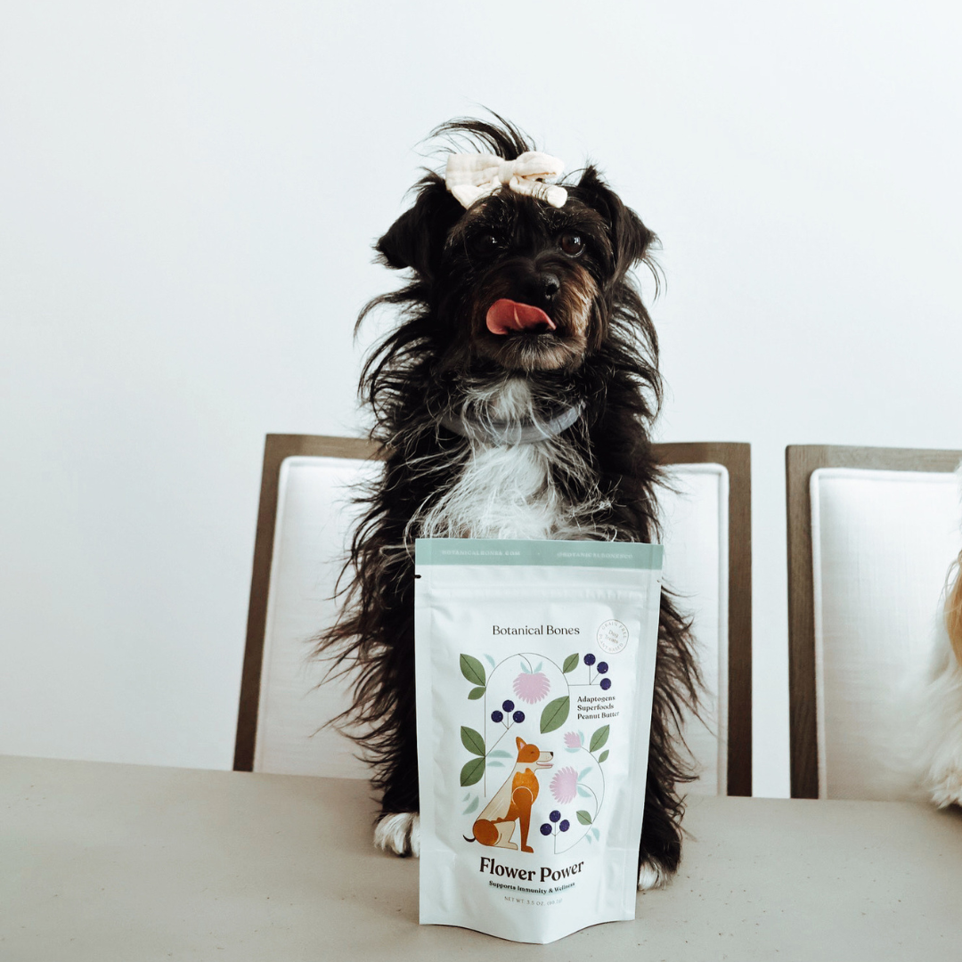Dog with Botanical Bones Flower Power organic dog treats