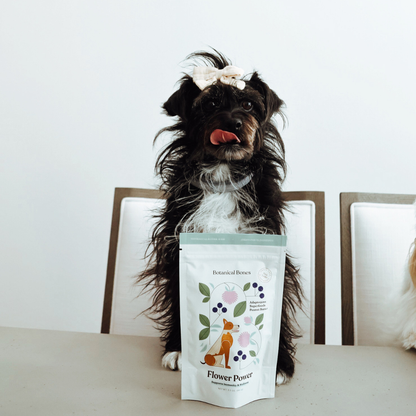 Dog with Botanical Bones Flower Power organic dog treats
