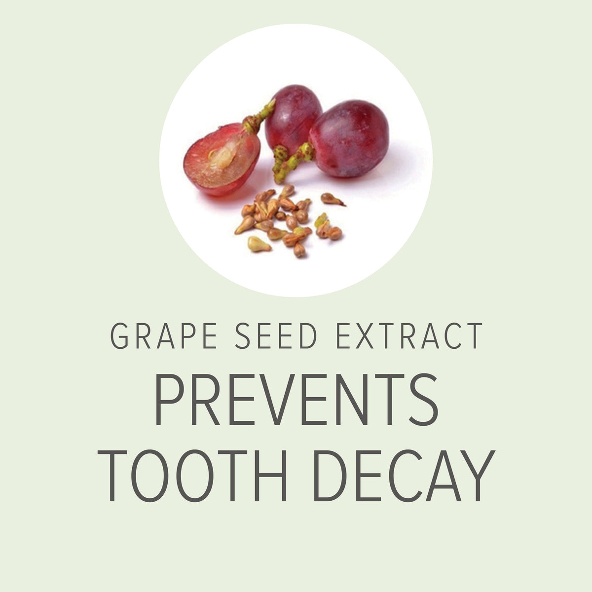 Graphic highlighting grape seed extract as a key ingredient in organic dog breath spray