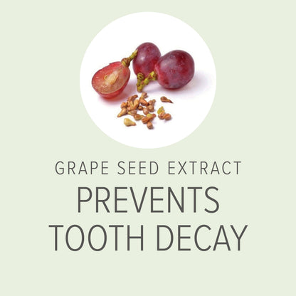 Graphic highlighting grape seed extract as a key ingredient in organic dog breath spray