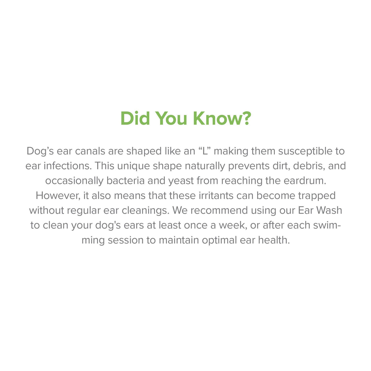 Educational information about maintaining healthy ears in dogs and cats