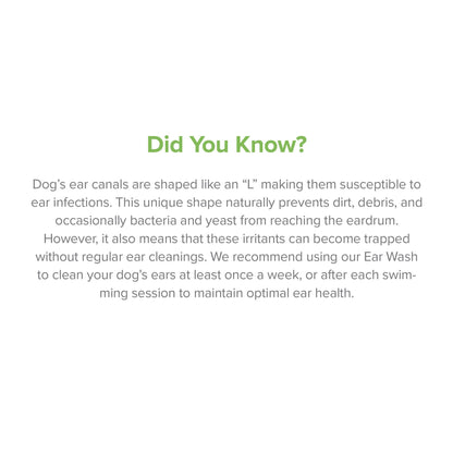 Educational information about maintaining healthy ears in dogs and cats