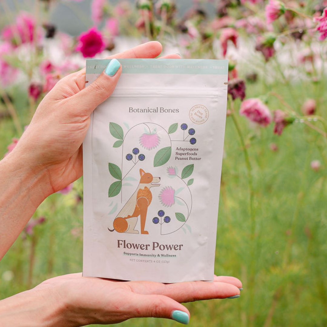 Hand holding Botanical Bones Flower Power functional dog treats outdoors