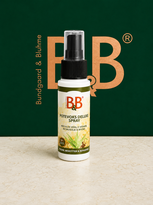 B&B Paw Wax Deluxe Spray 50 mL natural paw protection for dogs