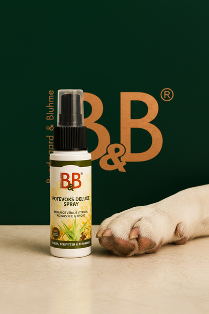 B&B Paw Wax Deluxe Spray beside healthy dog paw pads