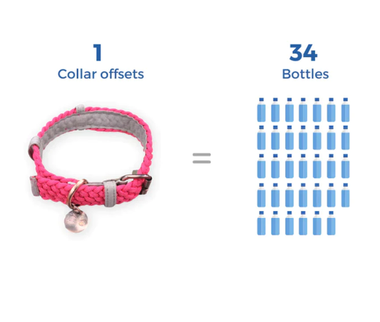     BetterCollar sustainability comparison showing     BetterCollar sustainability comparison showing one collar helps prevent the equivalent of 34 plastic bottles from entering the ocean