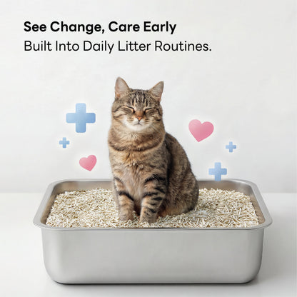 Cat using a litter box filled with purrify Smart pH Insight cat litter