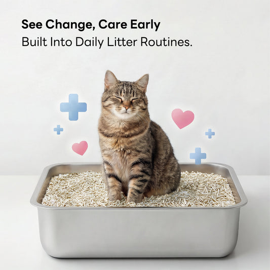 Cat using a litter box filled with purrify Smart pH Insight cat litter