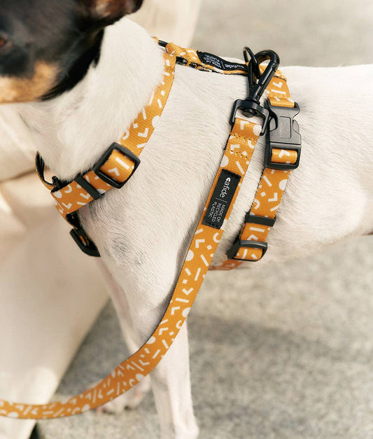 Memphis Mustard Design Recycled PET Harness | Juno | Size S