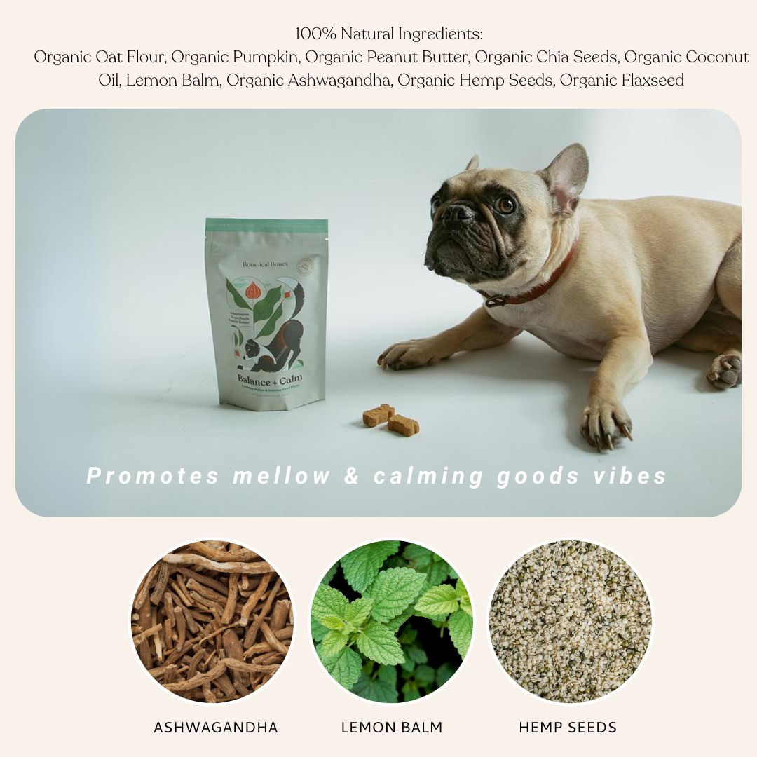 Botanical Bones Balance + Calm Cookies with organic ashwagandha, lemon balm, and hemp seed ingredients