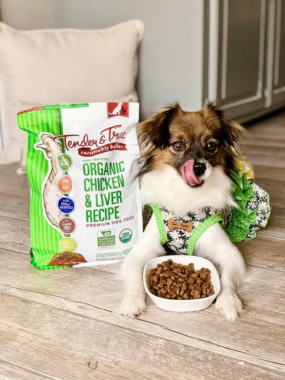 Dog enjoying Organic Chicken & Liver Recipe Dry Dog Food served in a bowl.