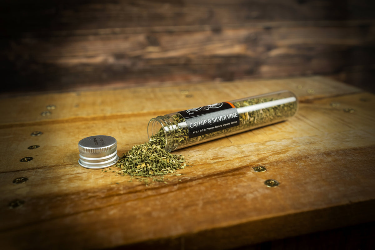Shady Cat organic catnip and silver vine blend spilled from an open tube on a wooden tabletop