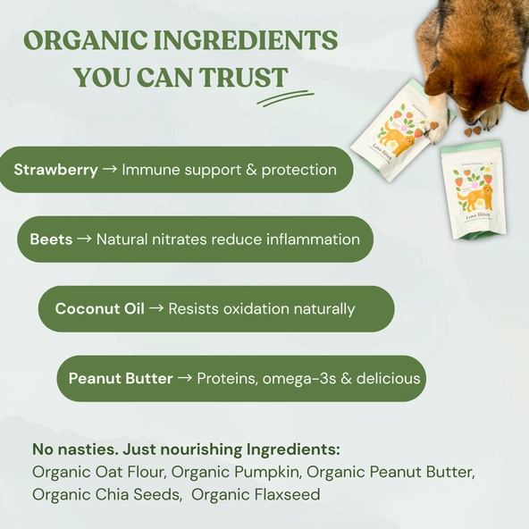 Organic ingredients used in Love Bites dog treats infographic.