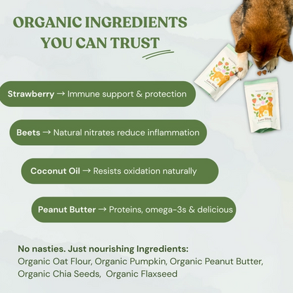 Organic ingredients used in Love Bites dog treats infographic.