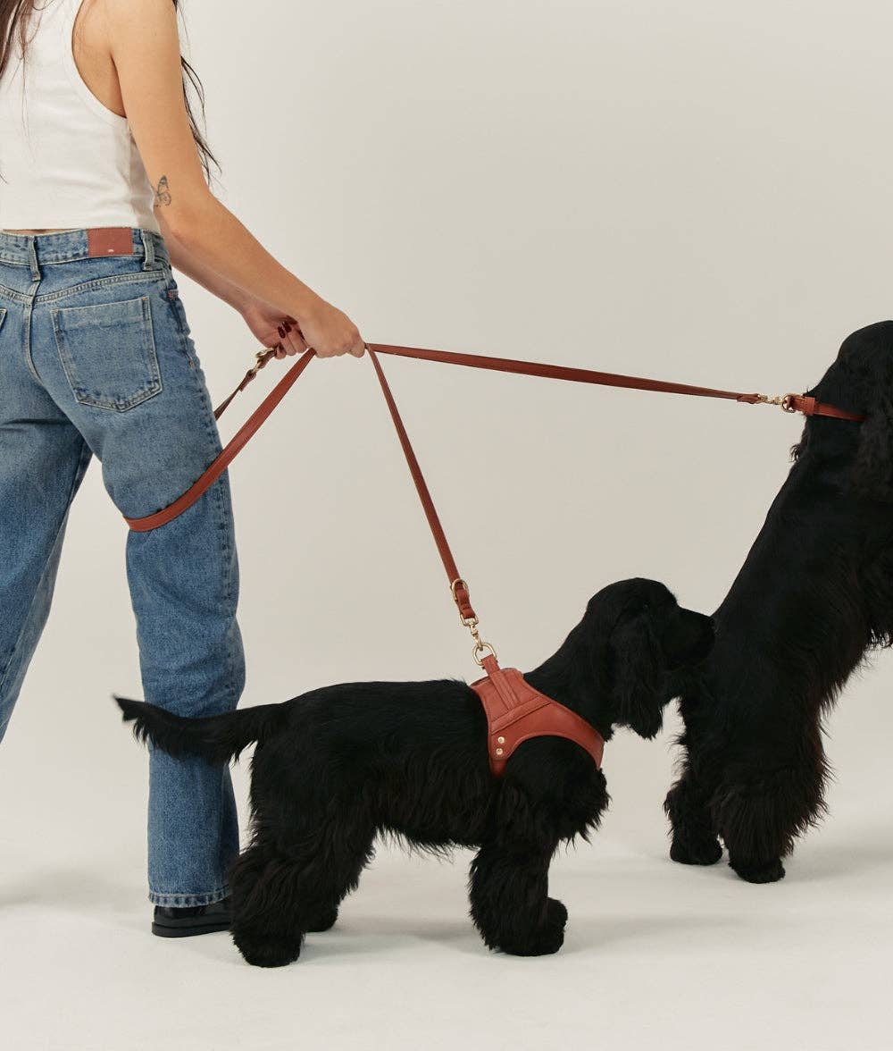 Brown Jala vegan leather harness providing comfort and control while walking two dogs