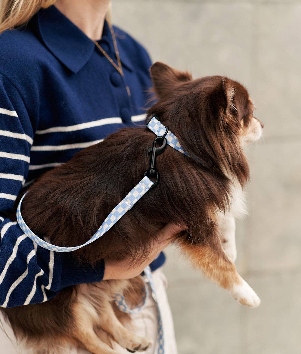 Close-up of Vichy Blue Recycled PET Dog Leash in use