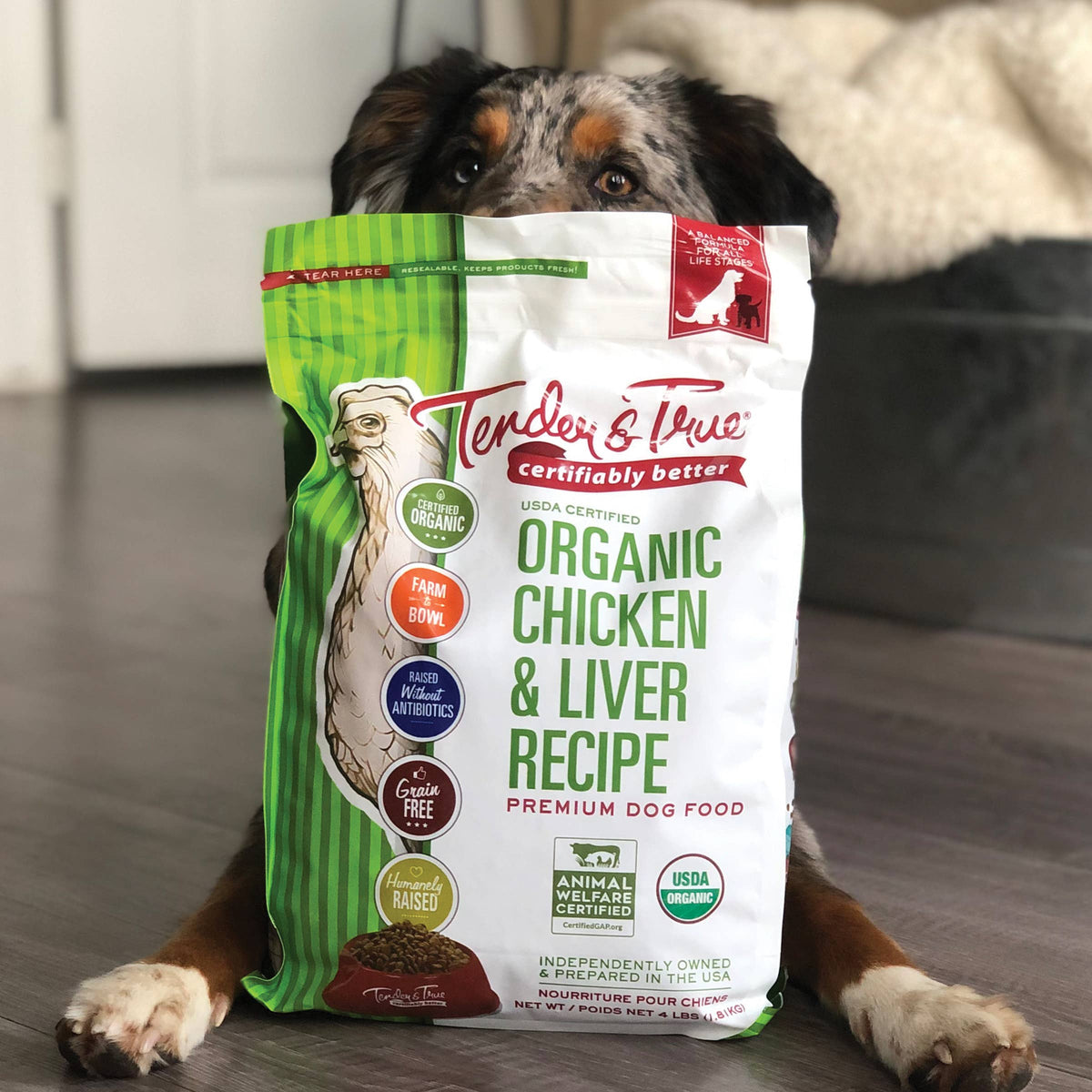 Happy dog beside a 4 lb bag of Organic Chicken & Liver Recipe Dry Dog Food.