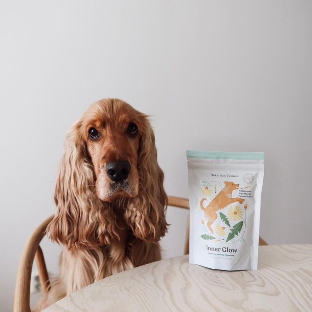 Cocker Spaniel sitting beside Botanical Bones functional dog treats