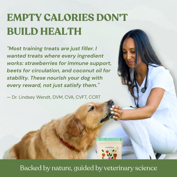 Educational graphic about healthy organic dog treats and avoiding empty calories.