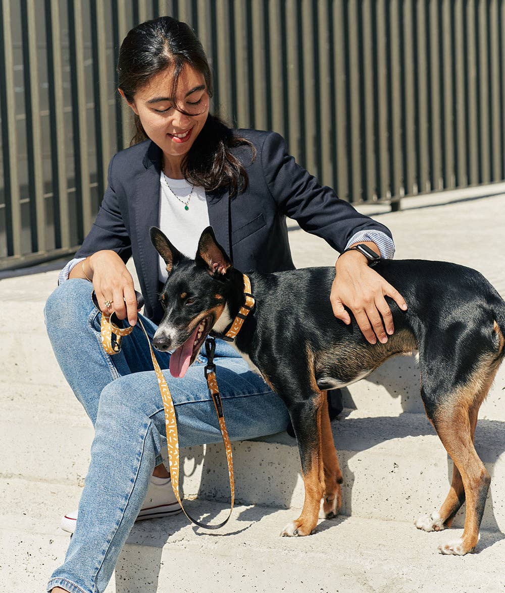 Owner enjoying a walk with their dog using the Memphis Mustard Juno recycled PET leash