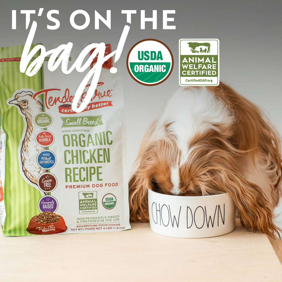 Small dog with Tender & True Organic Small Breed Chicken & Liver Recipe dog food bag