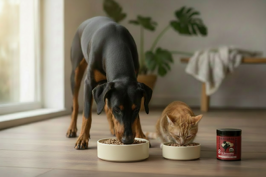 Dog and cat enjoying a meal with Organic D-Mannose & Cranberry Powder for daily urinary tract support