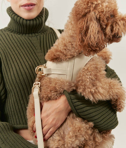 Dog wearing the Beige Jala vegan leather harness while being held, showcasing its comfortable fit and elegant design