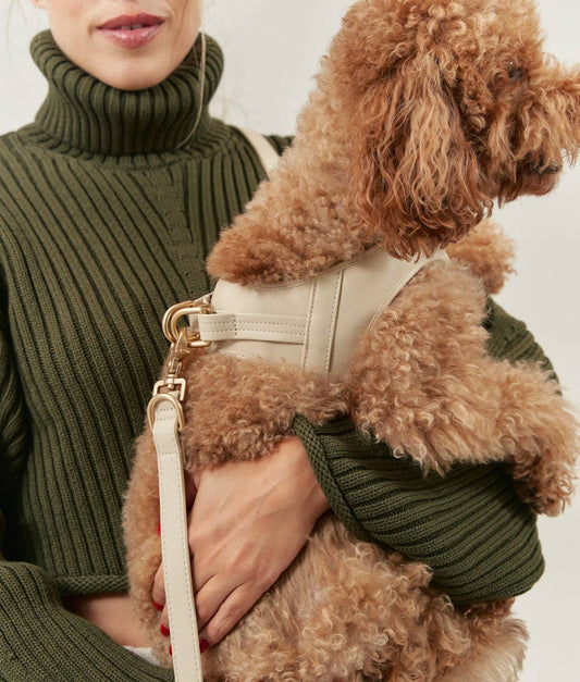 Dog wearing the Beige Jala vegan leather harness while being held, showcasing its comfortable fit and elegant design