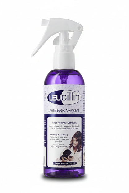 Leucillin Antiseptic Skincare Spray 150 mL bottle on a white background