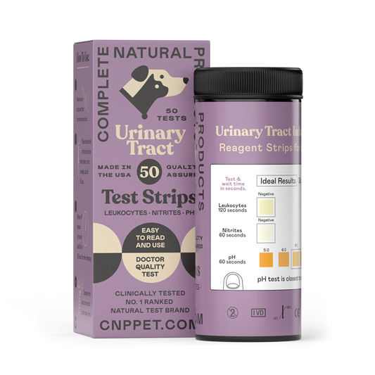 UTI Test Strips for dogs, cats, and companion animals with 50 at-home urine test strips