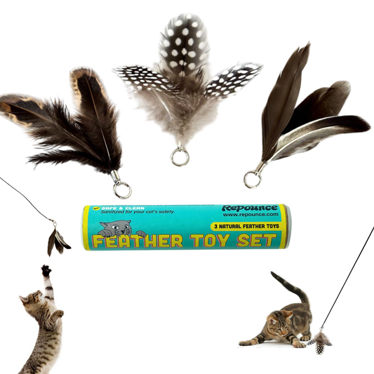 Repounce three-piece natural feather toy attachment set for cats with three assorted feather styles