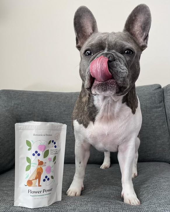 French Bulldog with Botanical Bones Flower Power dog treats