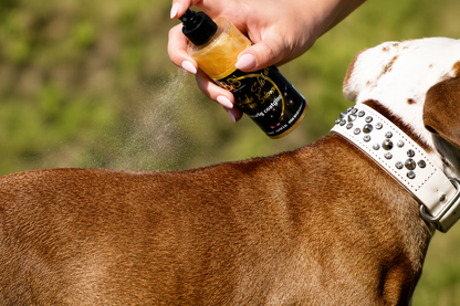 B&B Shake’n Shine Coat Finishing Spray for Dogs – 100 ml