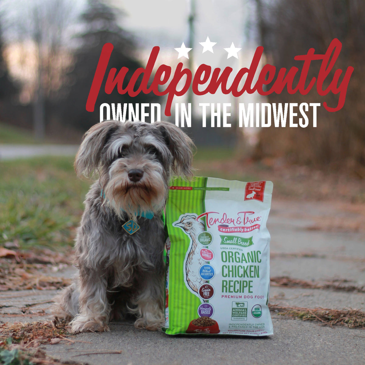 Small dog sitting beside Tender & True Organic Small Breed Chicken & Liver Recipe dog food