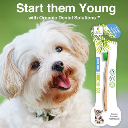 Start Them Young bamboo toothbrush for puppies and small dogs promoting early dental care