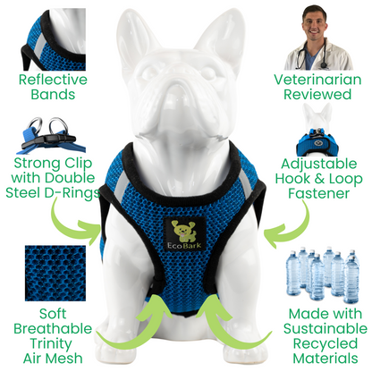 EcoBark bright blue step-in harness showing breathable mesh and lightweight design