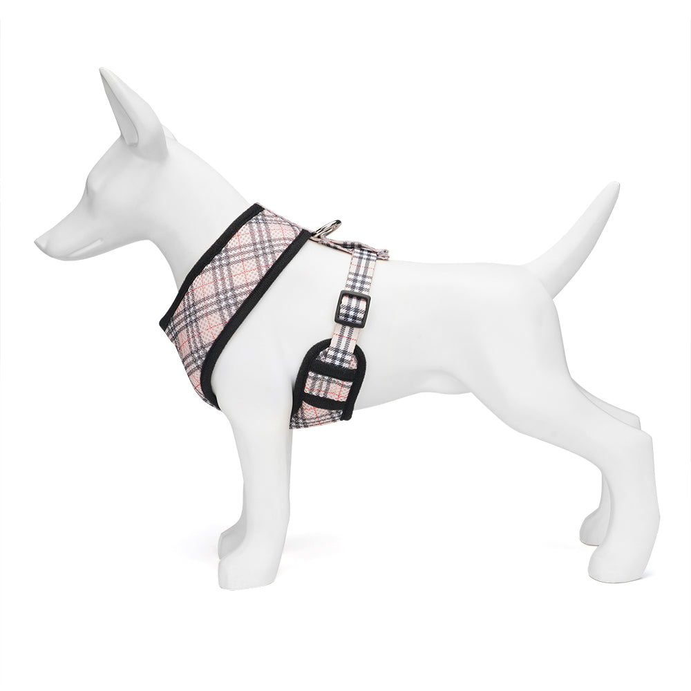 Close-up of EcoBark harness buckle and adjustable strap