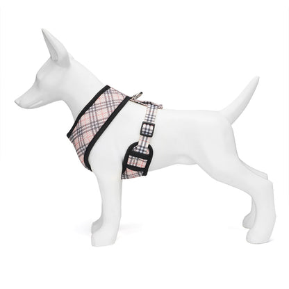 Close-up of EcoBark harness buckle and adjustable strap