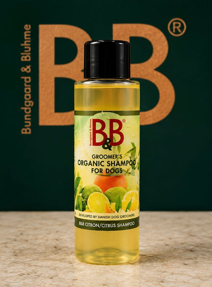 B&B Organic Citrus Shampoo for Dogs bottle on a green B&B branded background