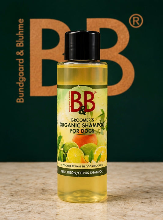 B&B Organic Citrus Shampoo for Dogs bottle on a green B&B branded background
