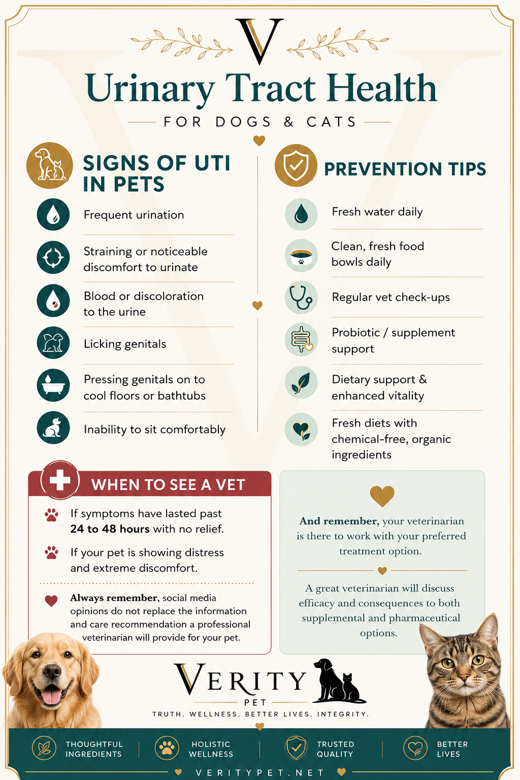 Verity Pet urinary tract health guide for dogs and cats featuring common UTI signs, prevention tips, and when to seek veterinary care