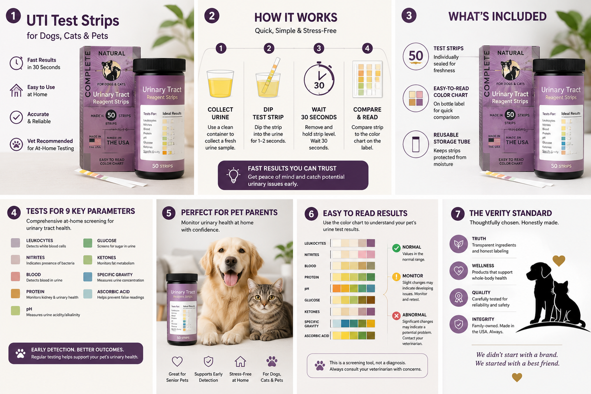 Verity Pet infographic explaining at-home UTI test strips, urinary health monitoring, and when to contact a veterinarian