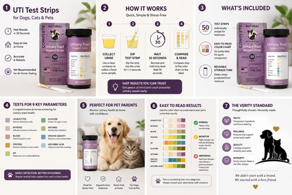Verity Pet infographic explaining at-home UTI test strips, urinary health monitoring, and when to contact a veterinarian