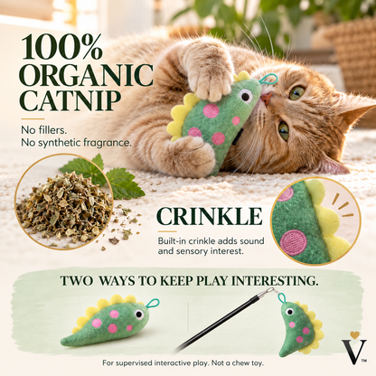 Cat actively playing with Dino plush cat toy while chasing, pouncing, and bunny-kicking