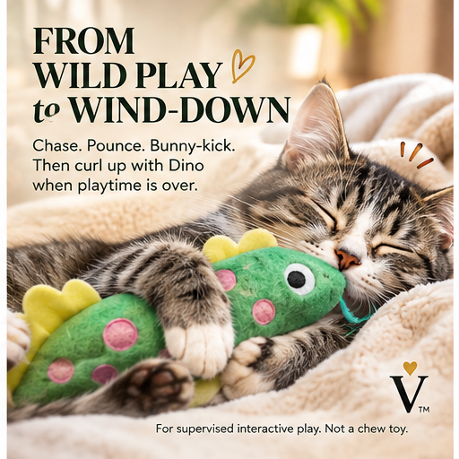 Cat cuddling Dino plush cat toy after active play with graphic showing the transition from wild play to wind-down