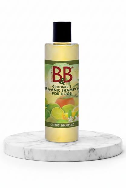 B&B Organic Citrus Shampoo for Dogs bottle shown on a clean white background